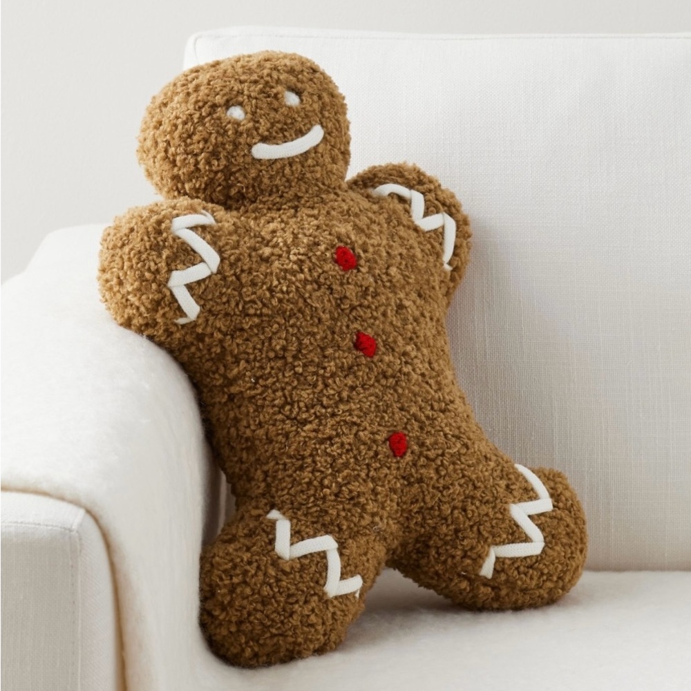 Pottery Barn Mr Spice Gingerbread pillow New in plastic